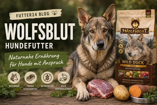 Wolfsblut Hundefutter Schweiz – wenn dein Hund endlich wieder gerne frisst