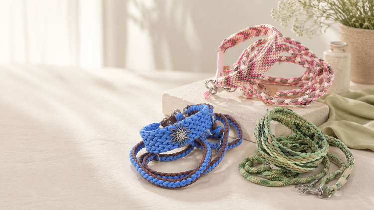 Leinen/Halsband