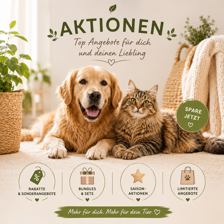 Aktionen