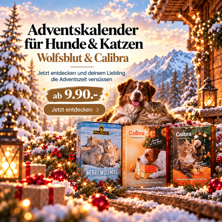Adventskalender für Hunde & Katzen