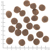 Wolfsblut VetLine Hypoallergenic Hundefutter bei Futter24
