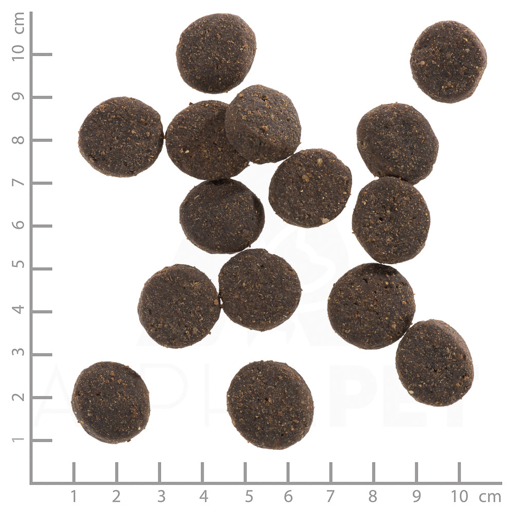 Wolfsblut Blue Mountain Adult Hundefutter mit Wild bei Futter24