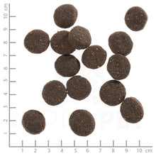 Wolfsblut Blue Mountain Adult Hundefutter mit Wild bei Futter24
