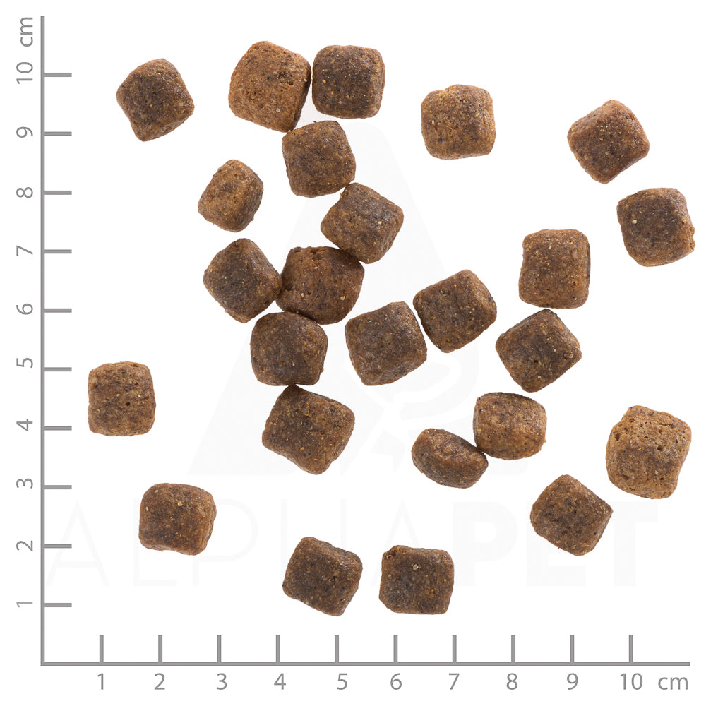Wolfsblut Wide Plain Senior Hundefutter bei Futter24