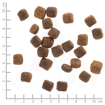 Wolfsblut Wide Plain Senior Hundefutter bei Futter24