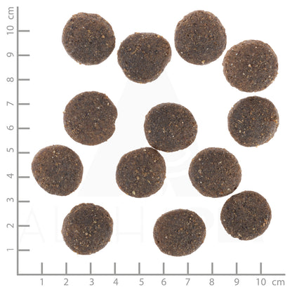 Wolfsblut Range Lamb Adult Hundefutter bei Futter24