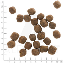 Wolfsblut Cold River Adult Hundefutter mit Forelle bei Futter24