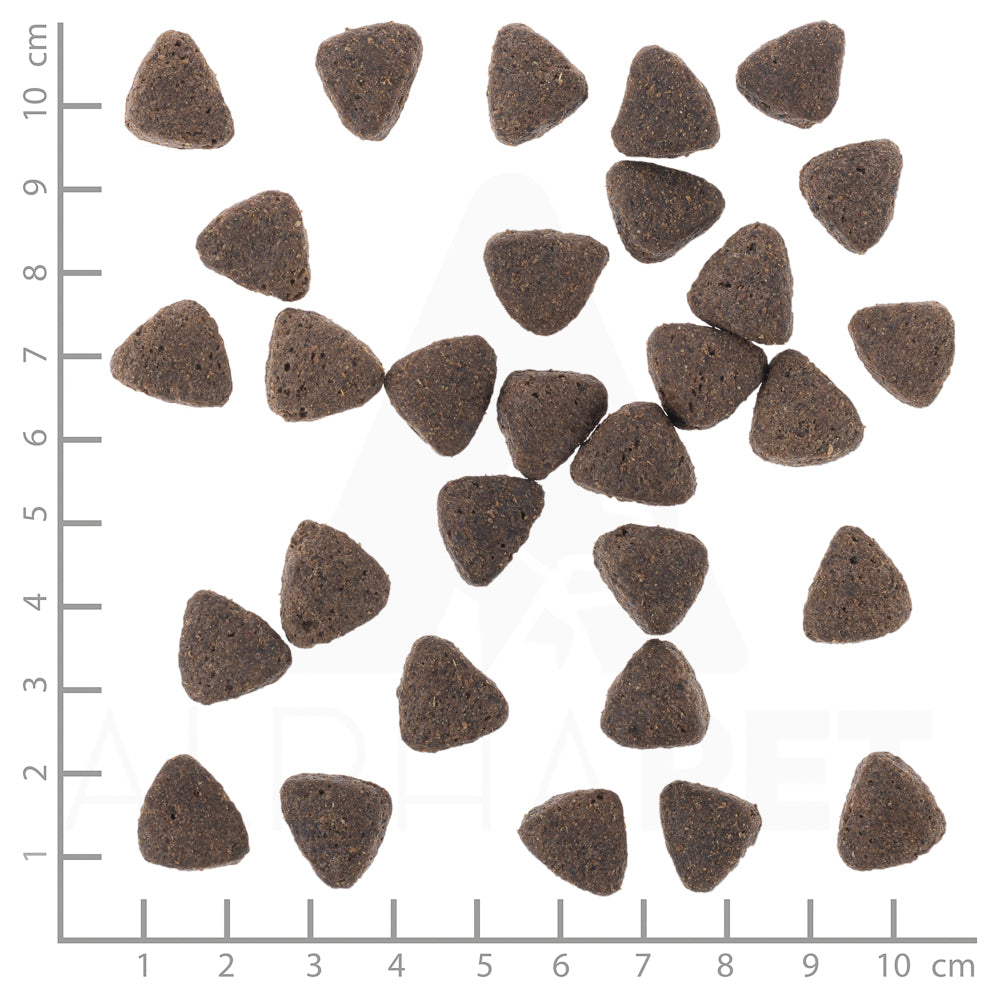 Wolfsblut Western Cape Adult Hundefutter 12.5kg bei Futter24