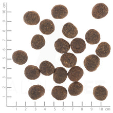 Wolfsblut VetLine Urinary Hundefutter bei Futter24