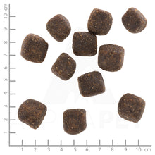 Wolfsblut Wild Duck Squashies Hundesnack 100g bei Futter24