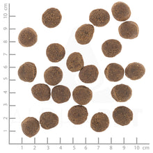 Wolfsblut VetLine Gastrointestinal Hundefutter bei Futter24
