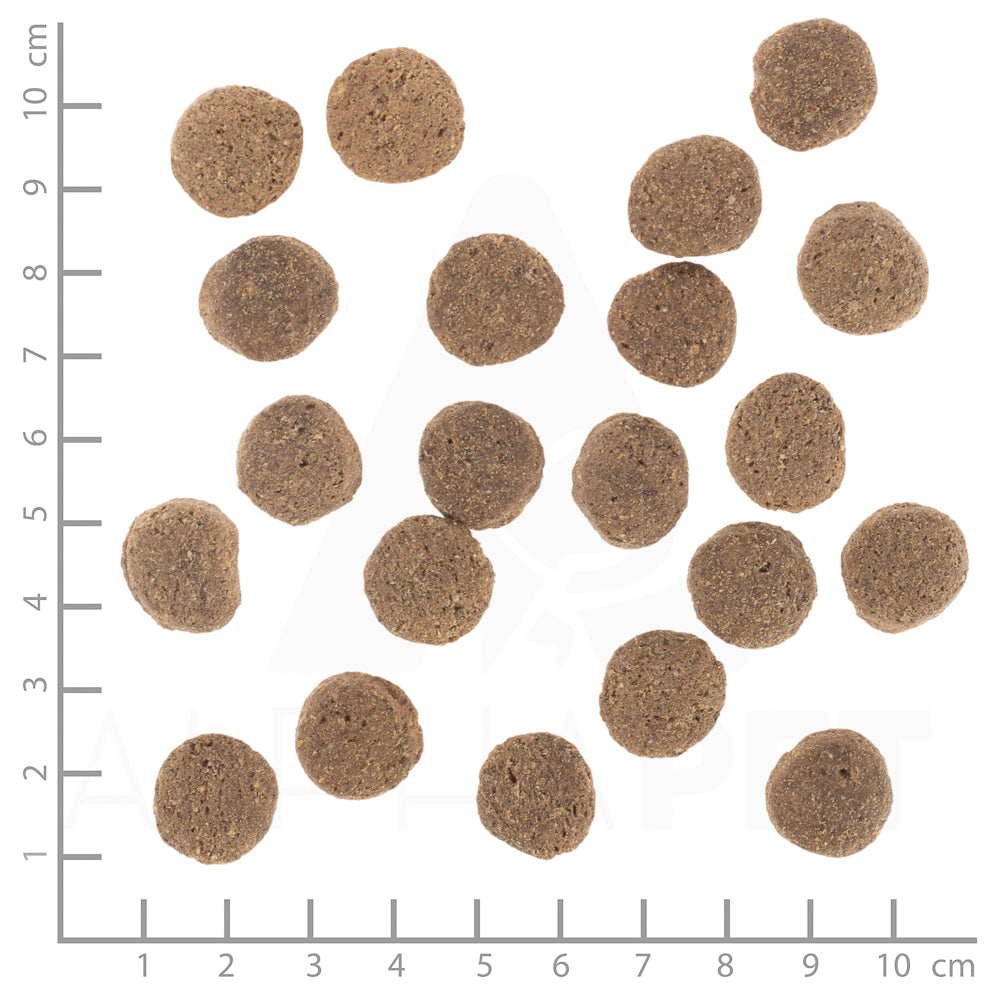 Wolfsblut VetLine Weight Management Hundefutter bei Futter24