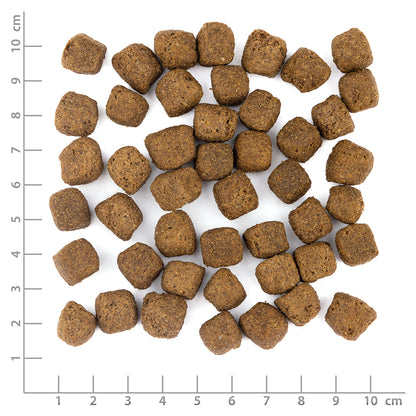Wolfsblut Limited Ingredients Dark Forest Hundefutter mit Wild und Süsskartoffel bei Futter24