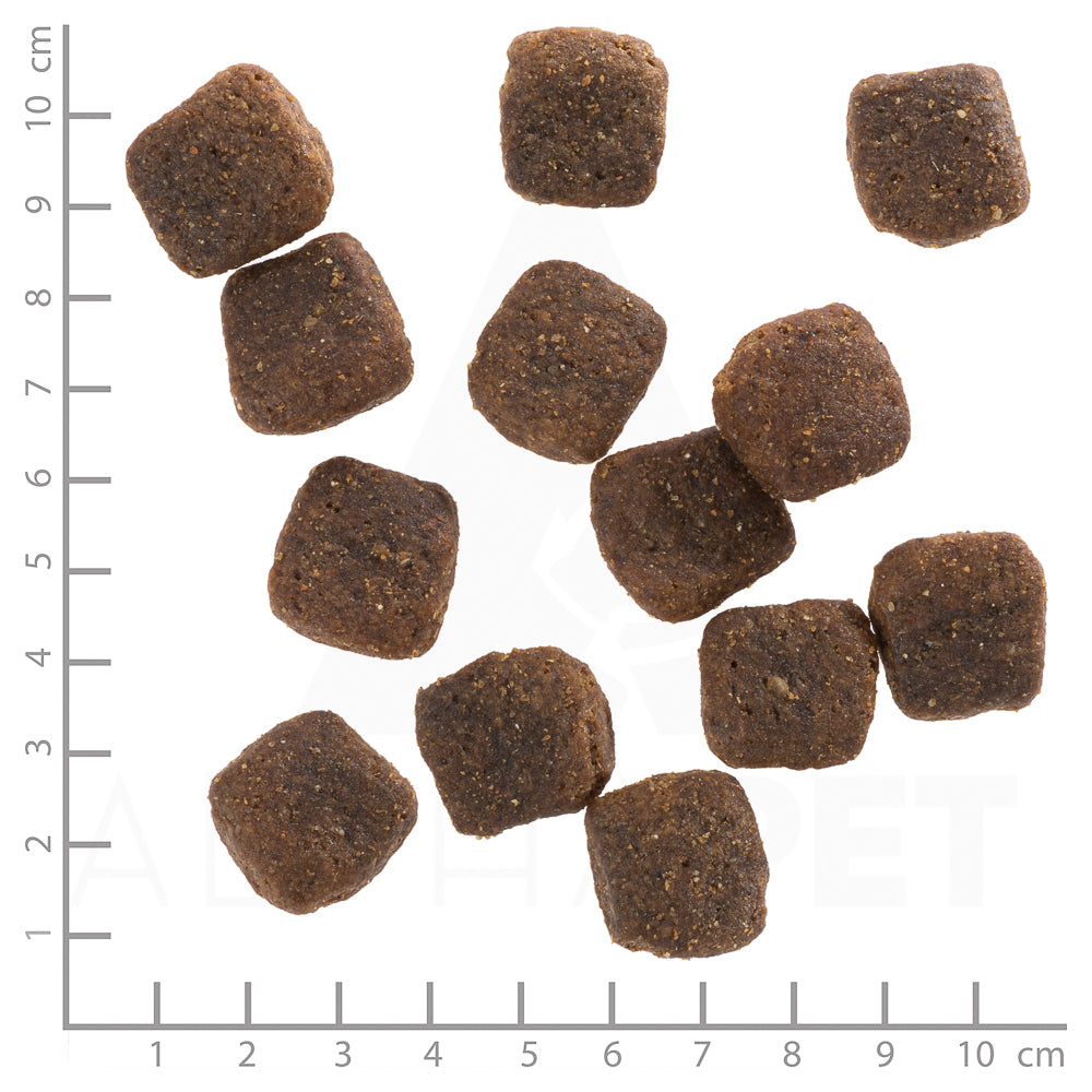 Wolfsblut Wild Duck Large Breed Hundefutter 12.5 kg bei Futter24