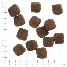 Wolfsblut Wild Duck Large Breed Hundefutter 12.5 kg bei Futter24