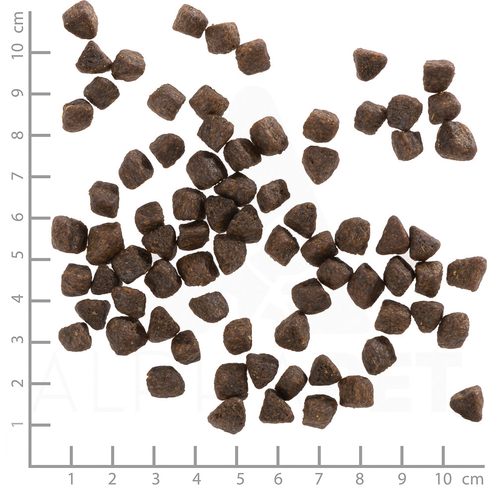 Wolfsblut Cold River Small Breed Hundefutter bei Futter24
