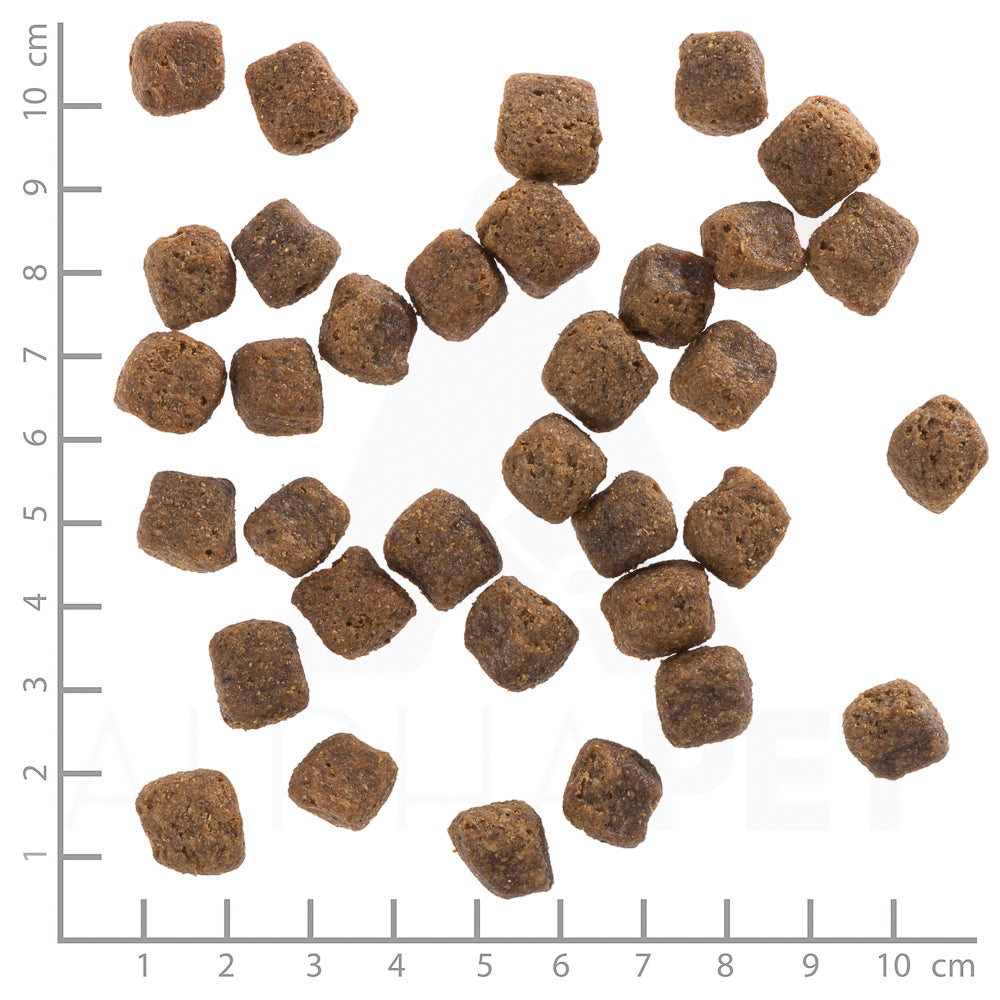 Wolfsblut Black Bird Adult Hundefutter mit Truthahn bei Futter24