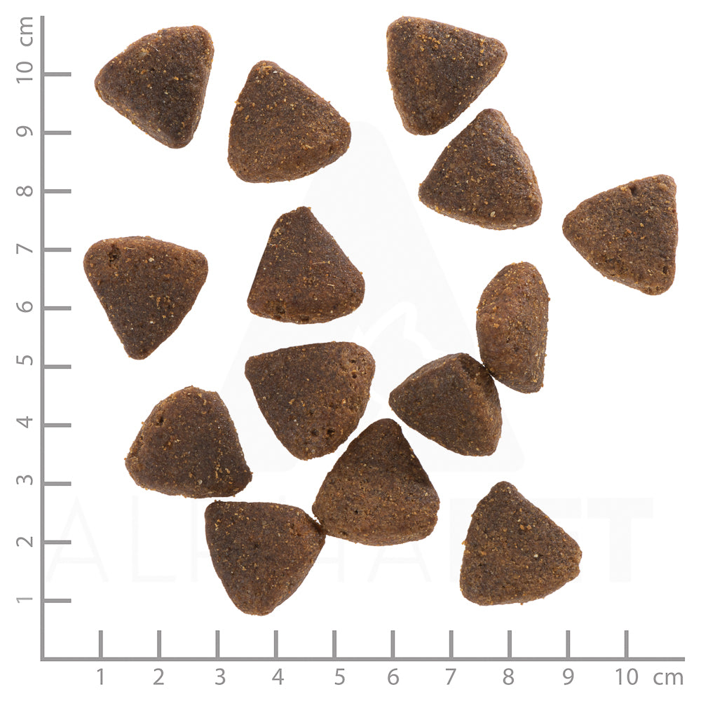 Wolfsblut Wild Duck Large Breed Hundefutter bei Futter24