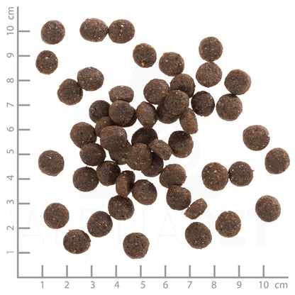 Wolfsblut Range Lamb Hundefutter bei Futter24
