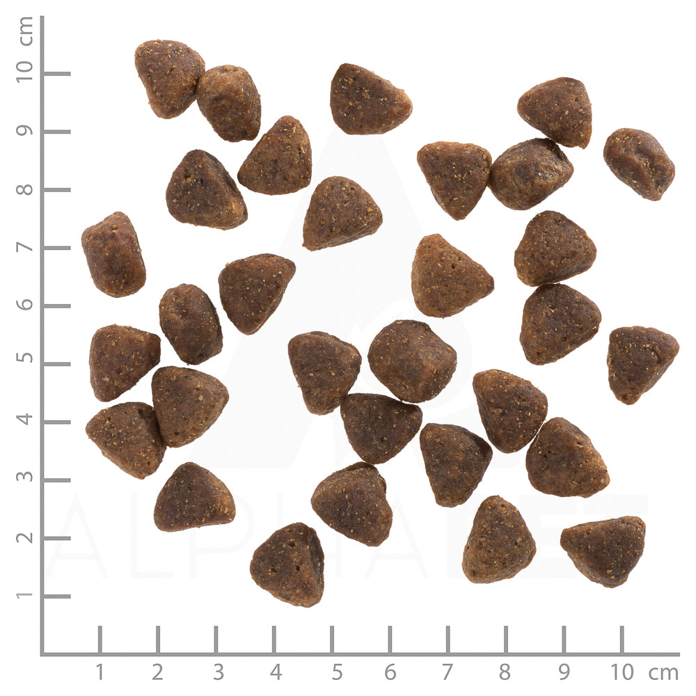 Wolfsblut Hunters Pride Adult Hundefutter bei Futter24