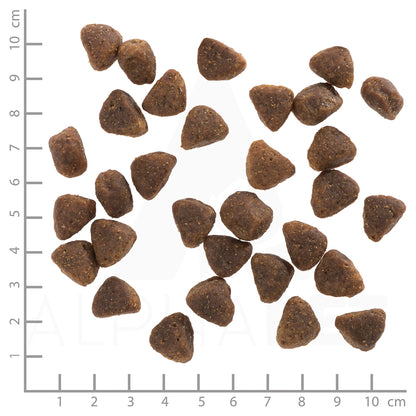 Wolfsblut Hunters Pride Adult Hundefutter bei Futter24