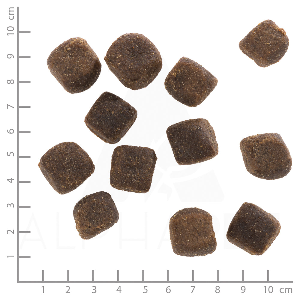 Wolfsblut Dark Forest Squashies Hundesnack 100g bei Futter24