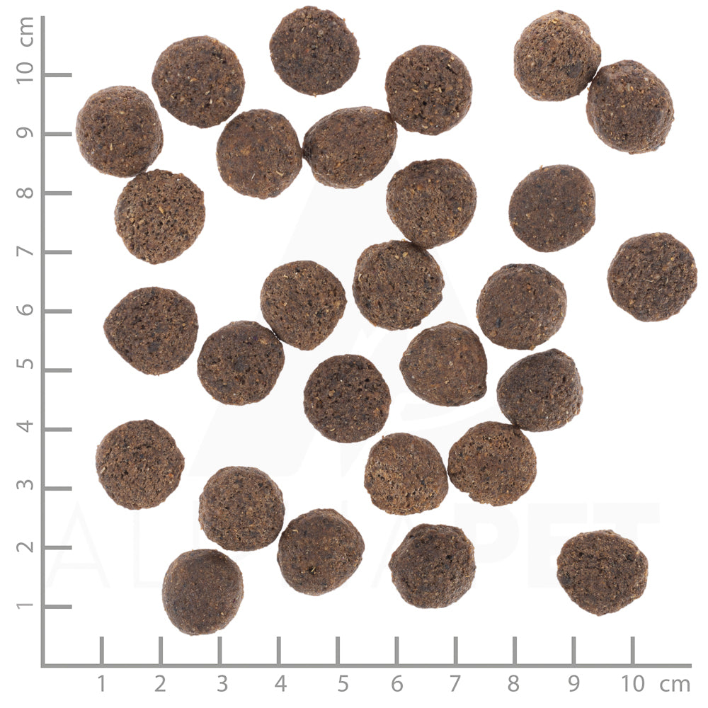 Wolfsblut VetLine Renal Hundefutter bei Futter24