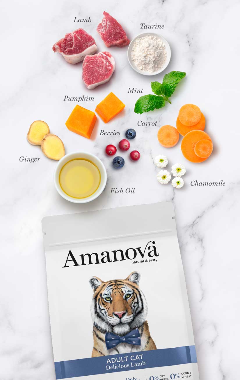 Amanova Delicious Lamb Katzenfutter getreidefrei mit Lamm bei Futter24