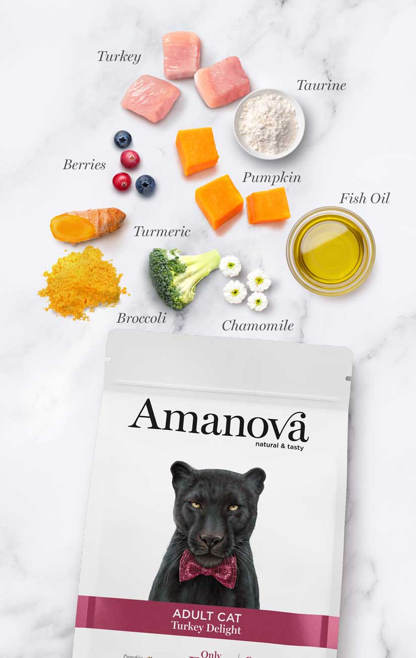 Amanova Turkey Delight Katzenfutter mit Truthahn bei Futter24