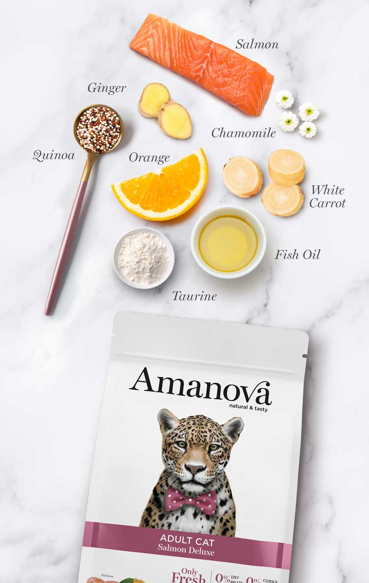 Amanova Salmon Deluxe Katzenfutter mit Lachs bei Futter24