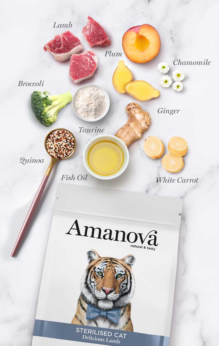 Amanova Adult Sterilised Delicious Lamb Katzenfutter mit Lamm bei Futter24