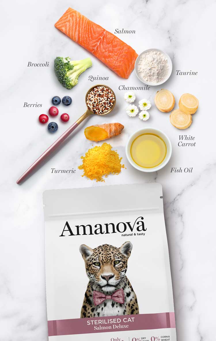 Amanova Adult Sterilised Salmon Deluxe Katzenfutter mit Lachs bei Futter24