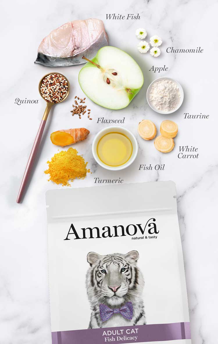 Amanova Fish Delicacy Katzenfutter mit weissem Fisch bei Futter24