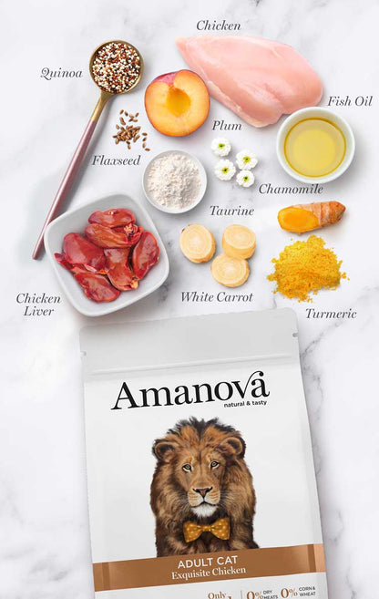 Amanova Adult Exquisite Chicken Katzenfutter mit Huhn bei Futter24