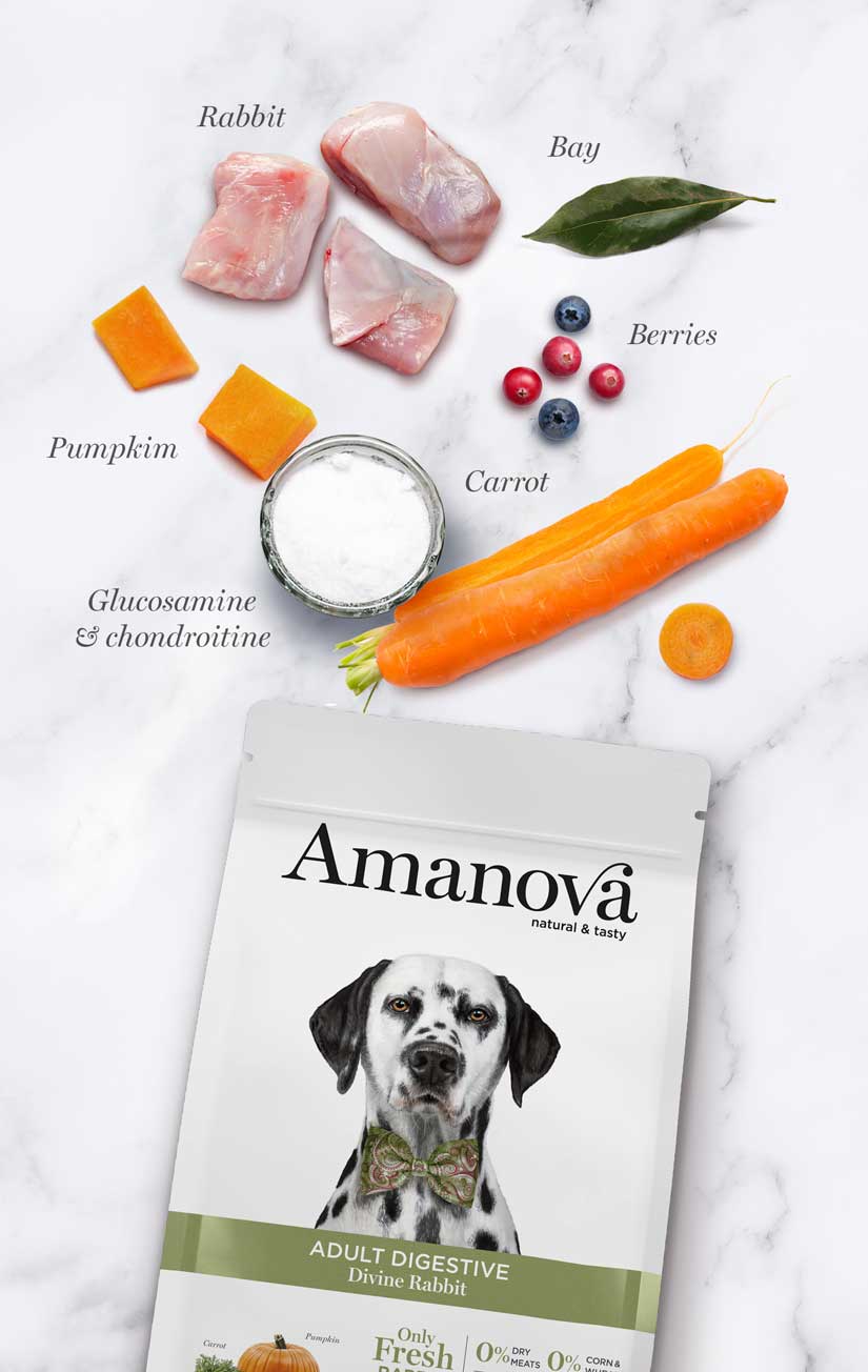 Amanova Adult Digestive Divine Rabbit Hundefutter mit Kaninchen bei Futter24