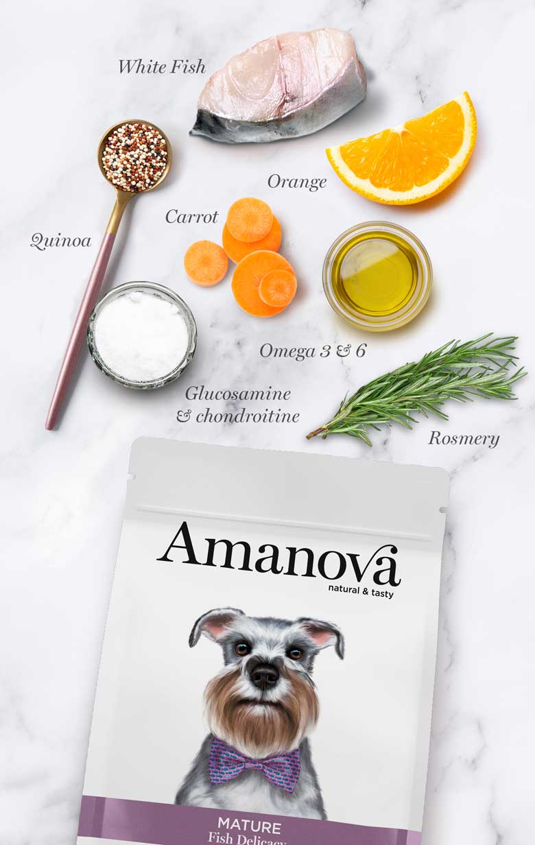 Amanova Senior Fish Delicacy Hundefutter mit weissem Fisch bei Futter24
