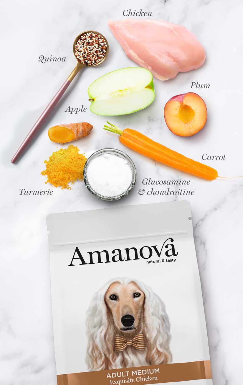 Amanova Adult Medium Exquisite Chicken Hundefutter mit Huhn bei Futter24