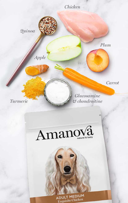 Amanova Adult Medium Exquisite Chicken Hundefutter mit Huhn bei Futter24