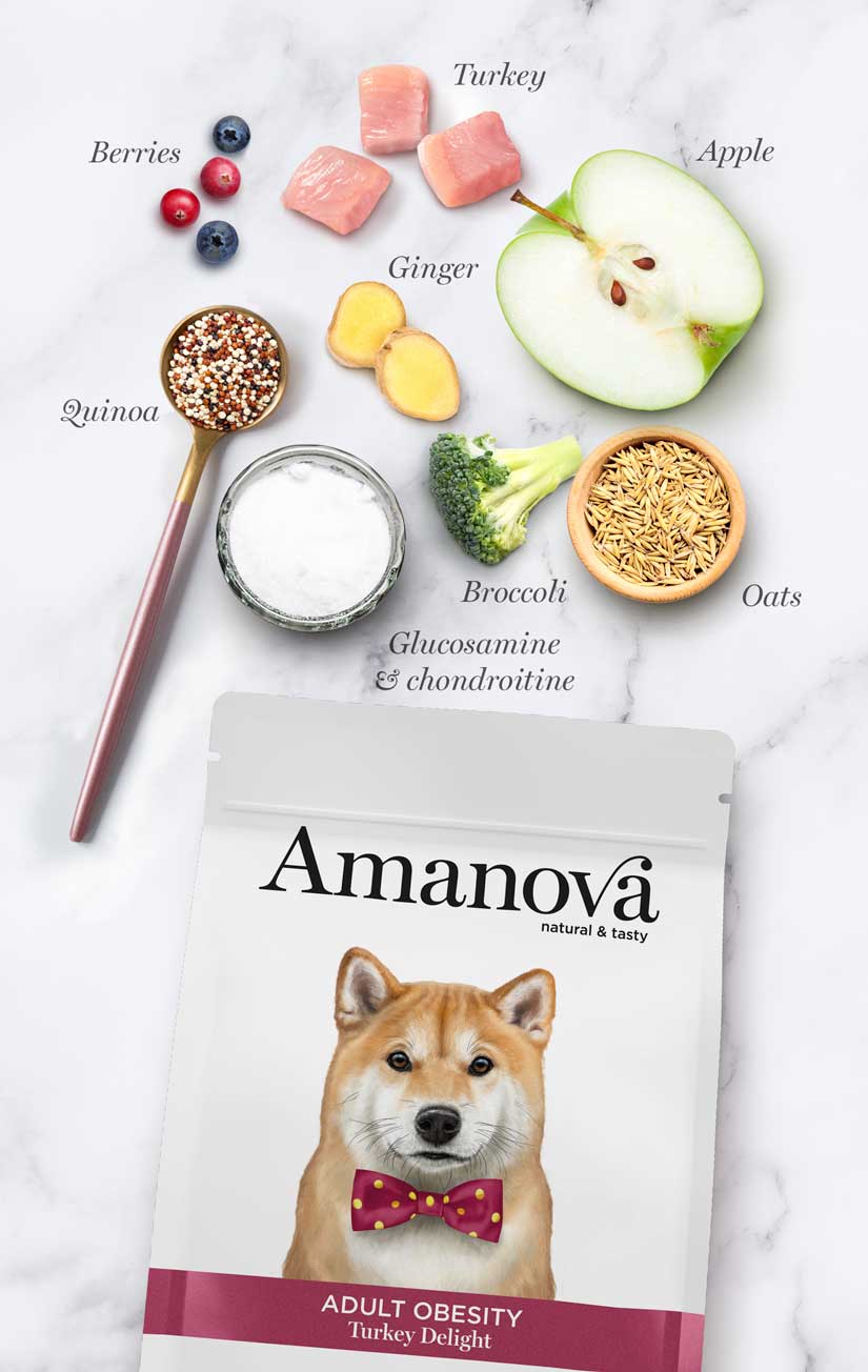 Amanova Adult Obesity Turkey Delight Hundefutter mit Truthahn bei Futter24