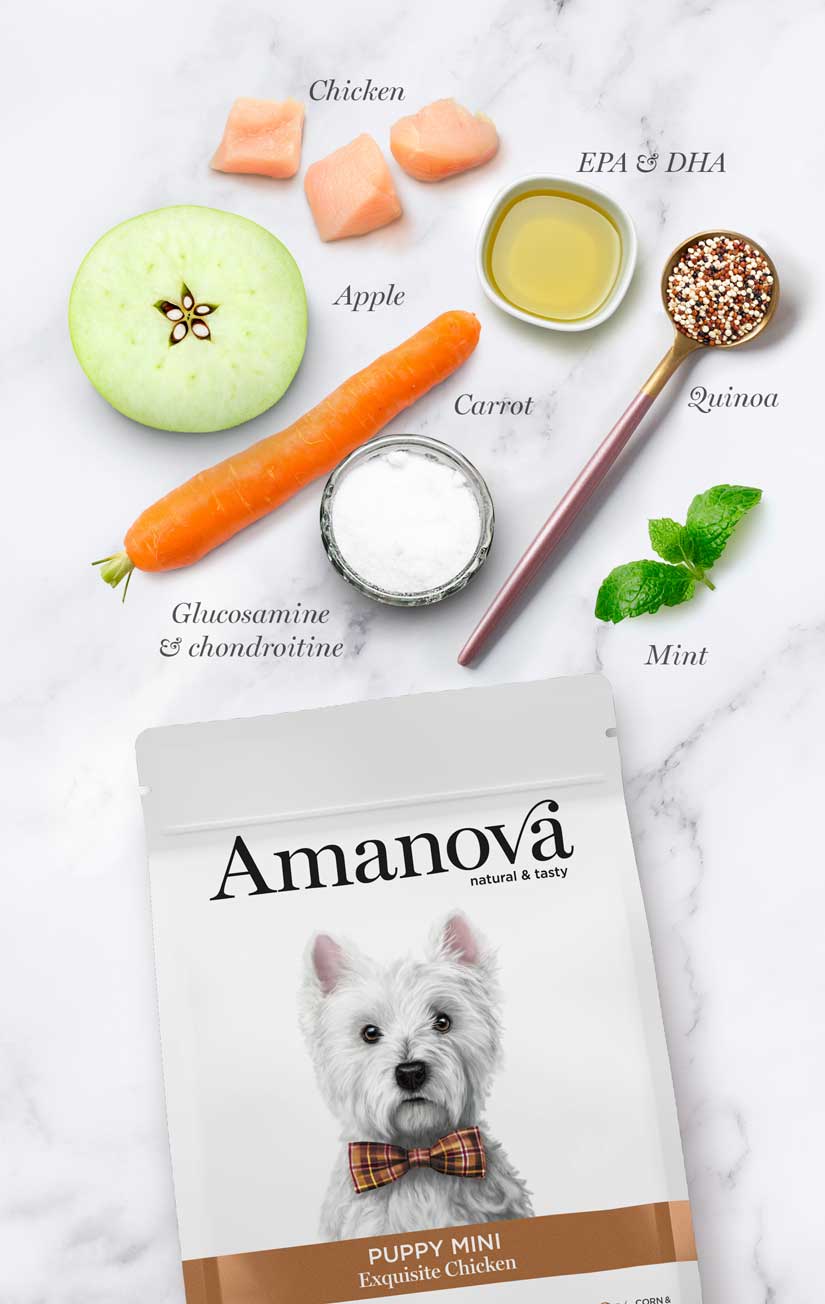 Amanova Puppy Mini Exquisite Chicken Welpenfutter mit Huhn bei Futter24