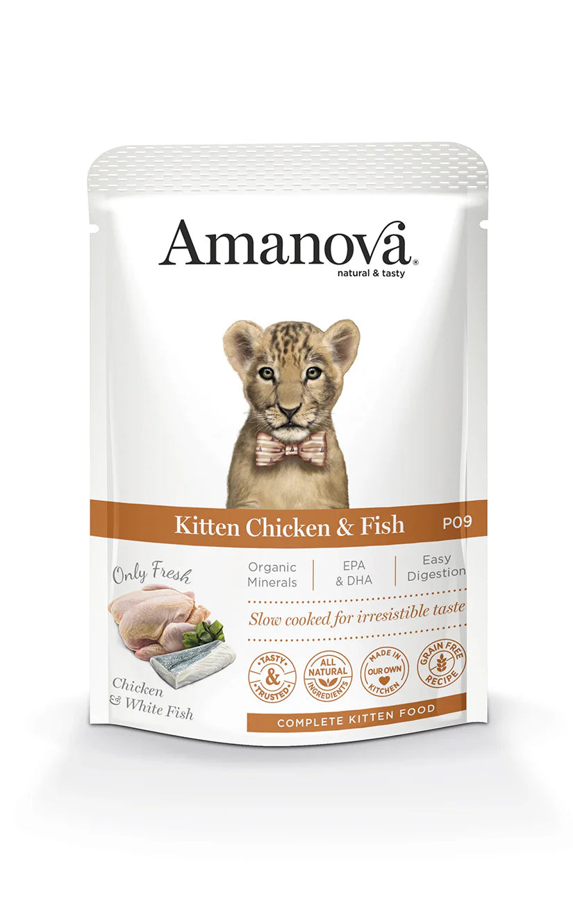 Amanova Kitten Chicken und Fish Katzen-Nassfutter mit Huhn und weissem Fisch bei Futter24