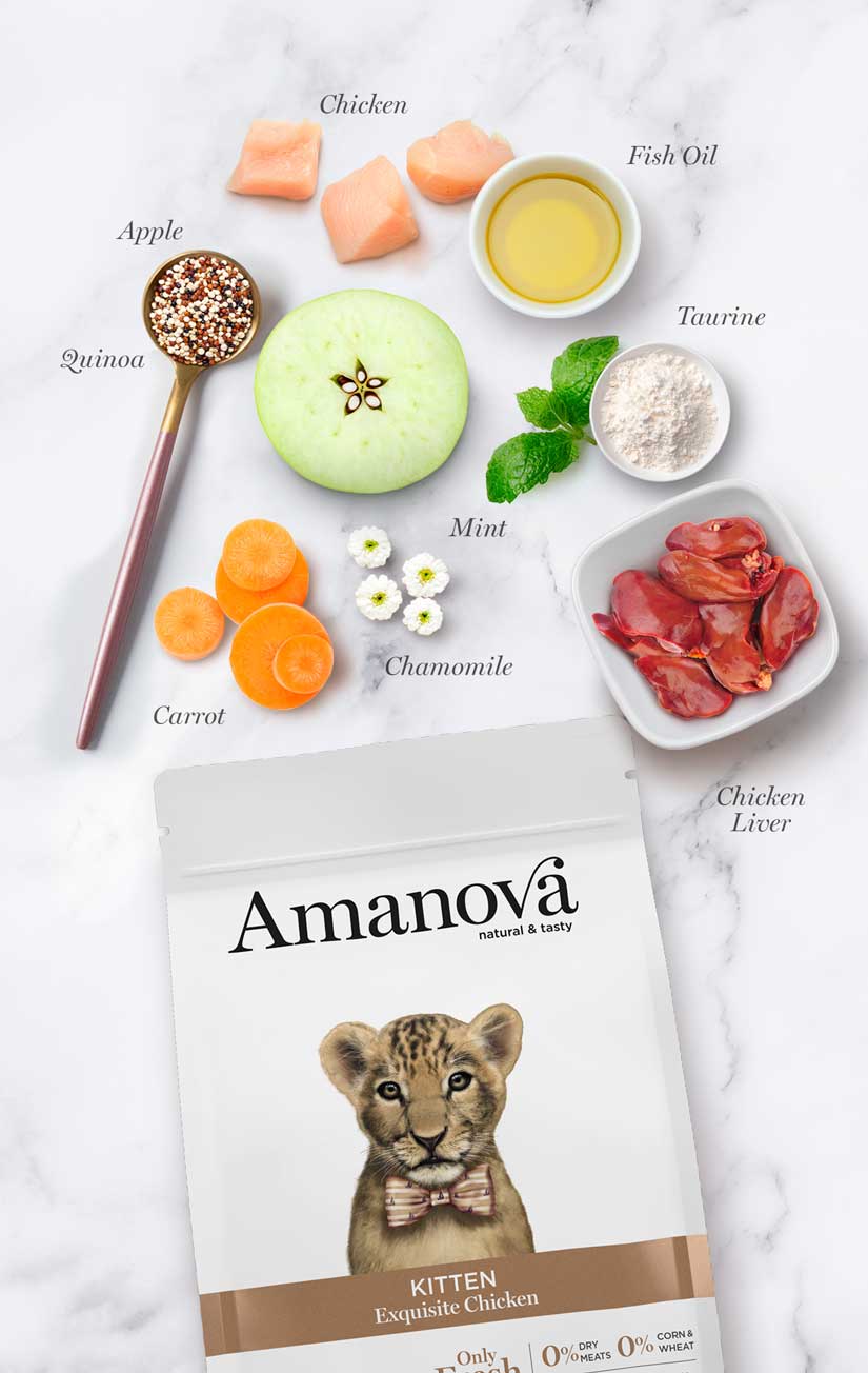 Amanova Kitten Exquisite Chicken Katzenfutter mit Huhn bei Futter24