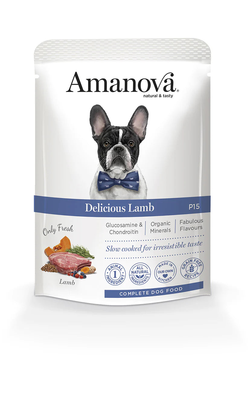 Amanova Delicious Lamb und Pumpkin Katzen-Nassfutter mit Lamm und Kürbis bei Futter24