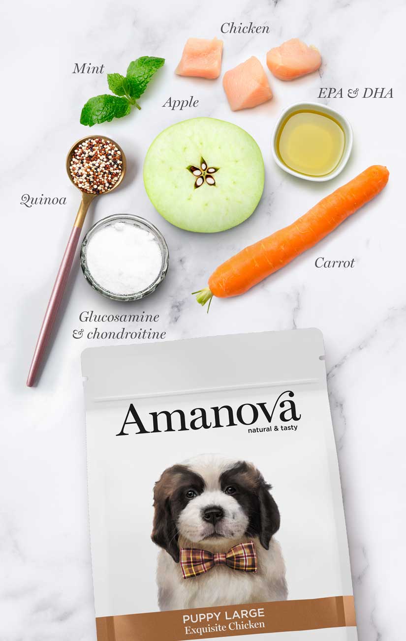 Amanova Puppy Large Exquisite Chicken Hundefutter 12kg bei Futter24