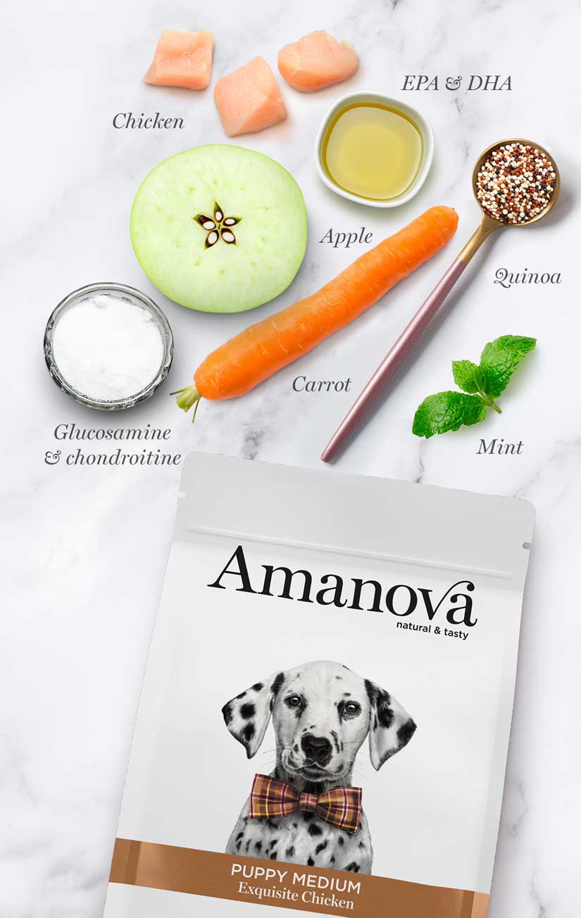 Amanova Puppy Medium Exquisite Chicken Welpenfutter mit Huhn bei Futter24