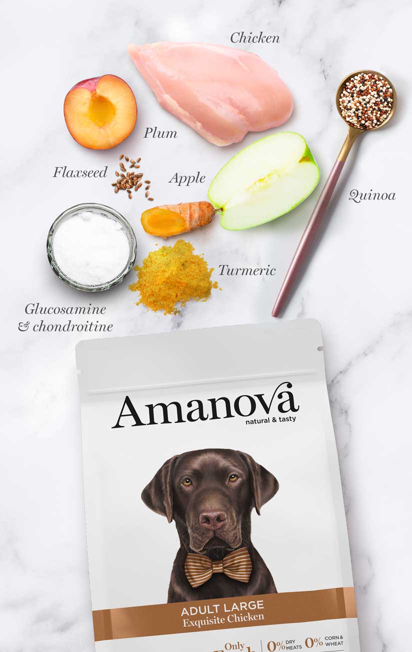 Amanova Adult Large Exquisite Chicken Hundefutter mit Huhn bei Futter24