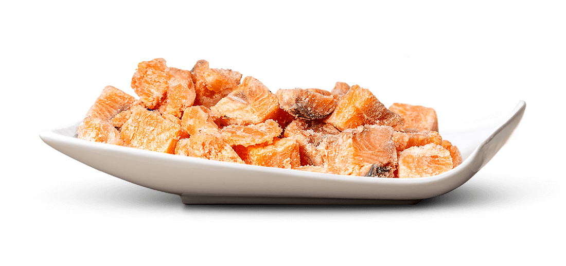 Lachsfilet 500g BARF für Hunde bei Futter24