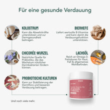 VITAWOOF Happy Tummy Produktansicht bei Futter24