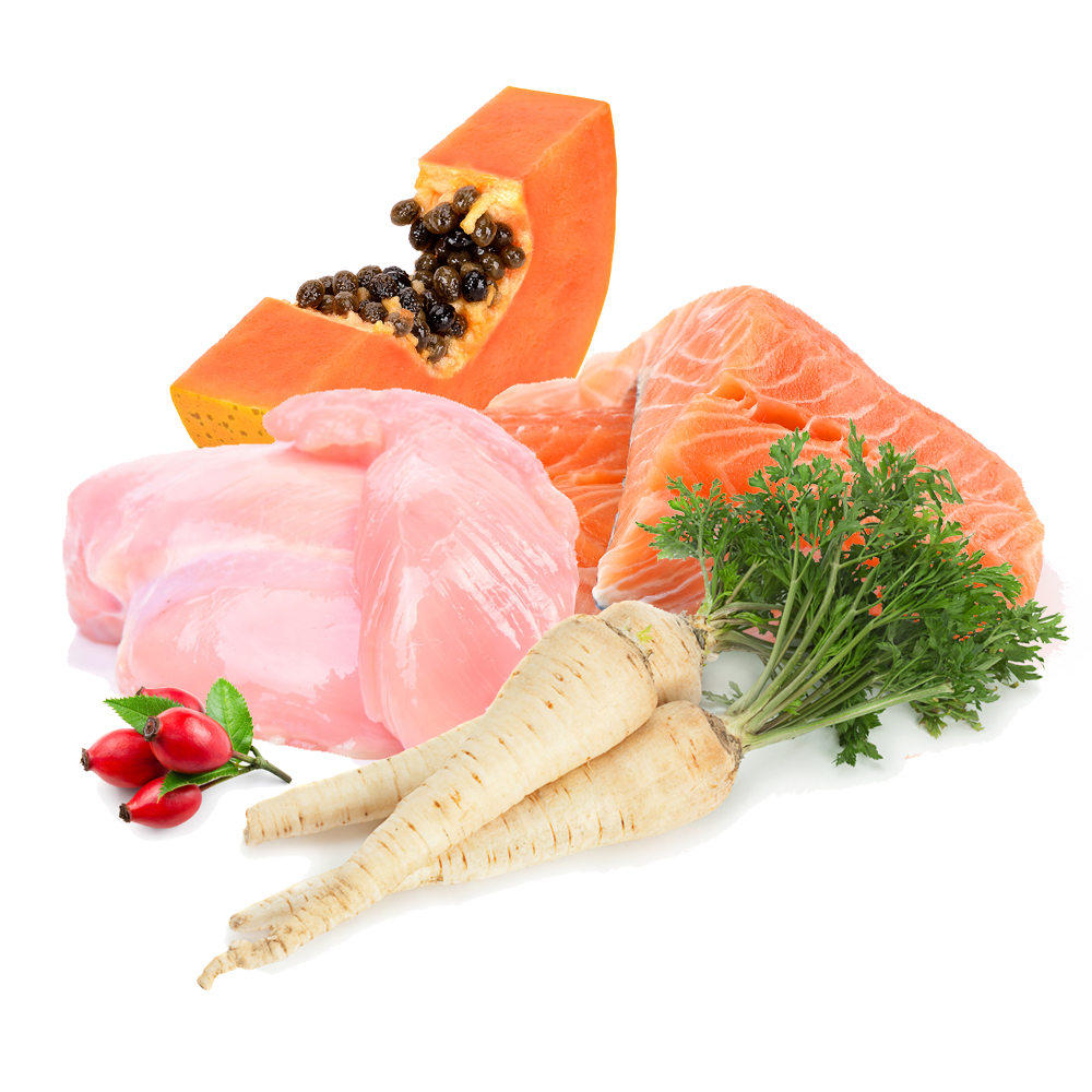 Puromenu Menü mit Lachs und Poulet Produktansicht bei Futter24