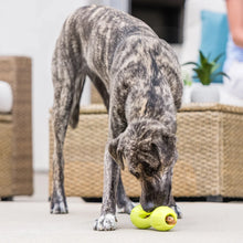West Paw Qwizl Medium 16.5cm grün Hundespielzeug bei Futter24